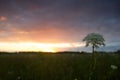 Opened hardback book diary, fanned pages on blurred nature lands