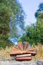 Opened hardback book diary, fanned pages on blurred nature lands Royalty Free Stock Photo