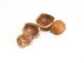Opened Hazelnut Royalty Free Stock Photo