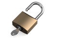 Opened lock with key Royalty Free Stock Photo