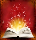 Opened magic book with magic light and butterfly Royalty Free Stock Photo