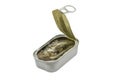 Opened metal can with conserved sprat fish Royalty Free Stock Photo