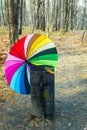 Opened multi-colored umbrella rests in a garbage Royalty Free Stock Photo