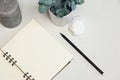 Opened notebook with black pen, green plant, stone and candle Royalty Free Stock Photo