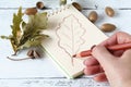 Opened notebook, drawing colorful autumn leaves on the wooden ta