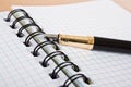 Opened notebook with pen Royalty Free Stock Photo
