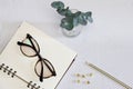 Opened notebook with spectacles, pen, golden pins and green plant Royalty Free Stock Photo