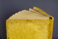 Opened old photo album wrapped in yellow velvet on gray backgrou Royalty Free Stock Photo