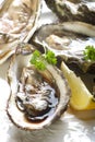 Opened oyster Royalty Free Stock Photo