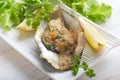 Opened oyster Royalty Free Stock Photo