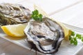 Opened oyster Royalty Free Stock Photo