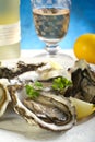 Opened oyster Royalty Free Stock Photo