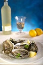 Opened oyster Royalty Free Stock Photo