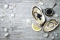 Opened oysters with black sturgeon caviar and lemon on ice in metal plate on grey concrete background. Top view, flat lay Royalty Free Stock Photo