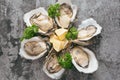 Opened oysters, lemon on gray stone table. Half dozen. With copy