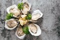 Opened oysters, lemon on gray stone table. Half dozen. With copy