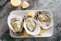 Opened oysters, lemon on gray stone table. Half dozen. With copy