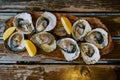 Opened oysters lie on a wooden tray with slices of oranges on the table Royalty Free Stock Photo