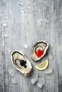 Opened oysters with red salmon and black sturgeon caviar and lemon on ice on grey concrete background.