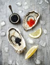 Opened oysters with red salmon and black sturgeon caviar and lemon on ice on grey concrete background. Top view, flat lay Royalty Free Stock Photo