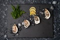 Opened oysters on a shale plate with crushed ice, lemon slices, a bunch of dill on a dark stone background. Aphrodisiacs, seafood,