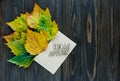 Opened paper envelope on old brown wooden background with yellow leaves. Vintage style of communication. Royalty Free Stock Photo