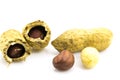 Opened Peanuts on the white background Royalty Free Stock Photo