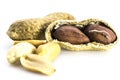 Opened Peanuts on the white background Royalty Free Stock Photo