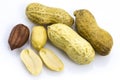 Opened Peanuts on the white background Royalty Free Stock Photo
