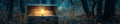 Opened rustic box in a forest clearing at twilight a single lightbulb glowing intensely inside