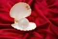 Opened sea shell with a big crystal lens ball, on red satin background Royalty Free Stock Photo