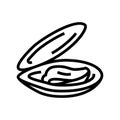 opened shell mussel line icon vector illustration