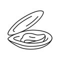 opened shell mussel line icon vector illustration