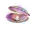 Opened shell with pearl inside from a splash of watercolor
