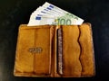 Opened snake leather wallet with euros. Concept of richness.