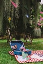 Opened Suitcase with Color Paper Planes on The White and Red Stripes Mat. Also Color Paper Planes Stuck in Spanish Moss Royalty Free Stock Photo