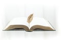 opened thick book levitating on white background, with a golden leaf