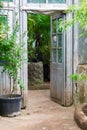 Opened vintage wooden door to green garden