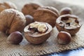 Opened walnut in the foreground. Near several walnuts and hazelnuts. Royalty Free Stock Photo