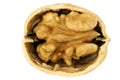 Opened walnut half