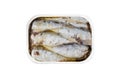 Opened White Can of Sardines Isolated Royalty Free Stock Photo