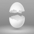 Opened white egg with broken shell vector illustration