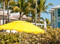 Opened, yellow, beach umbrella