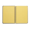 Opened yellow squared diary isolated on white background. Study notebook, spiral empty paper organizer