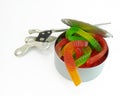 Opening a can of worms Royalty Free Stock Photo