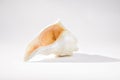 Opening of Conch Shell on Gray Background