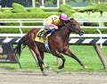 Saratoga Thoroughbred Racing Photos