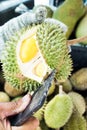 Opening Durian shell by cleaver to see inside