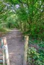 Opening to a forest walk along a sun dappled track.