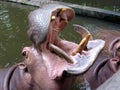 Openmouthed Hippopotamus Waits for Food at Chiang Mai Zoo, Chiang Mai, Thailand horizontal